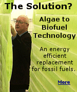 HDVB algae-to-biofuel technology mass produces algae, vegetable oil which is suitable for refining into a cost-effective, non-polluting biodiesel. 
